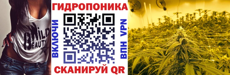 Каннабис ГИДРОПОН  как найти   ОМГ ОМГ зеркало  Зубцов 